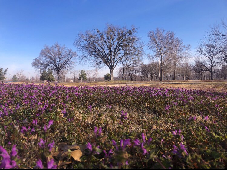 BittCreative's tweet image. What a beautiful morning to go for a walk. #nature #park #outdoors #rocks #walking