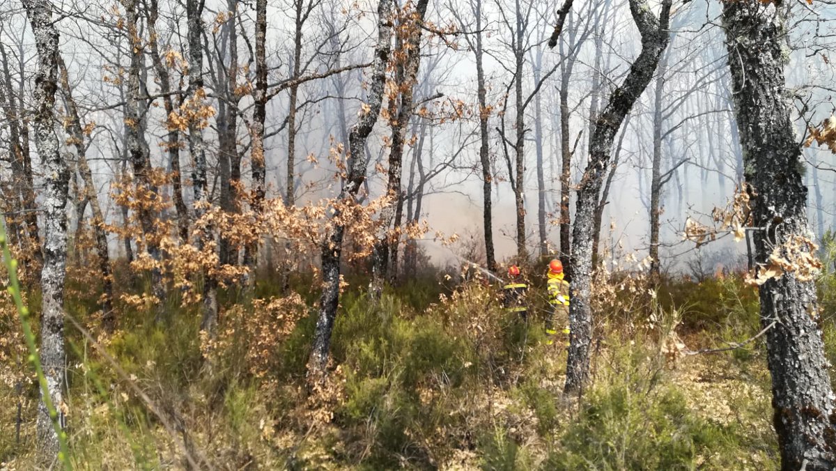 apamcyl's tweet photo. #IFGuardo @IncendiosES
Finalmente actuando con #Lima3 🚁 #bomberos 🚒 diputación 3 #Romeos y #AAMM no hay ninguna #Charly disponible del operativo @jcyl en toda la provincia de #Palencia
El operativo flexible es lo que tiene.
#Intencionado https://t.co/Sy4GheDO5J