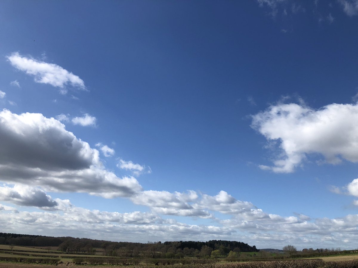 SallyOutram's tweet photo. Just a stones throw from #Bawtry &amp; #Scrooby this Gorgeous circular #walk through Everton, Harwell, Scaftworth &amp; Burrows Hill Woods, follows #Ancient tracks &amp; paths #MayflowerPilgrimWalks beautiful day for #Exploring #GetOutside https://t.co/0MG5LogrZ2