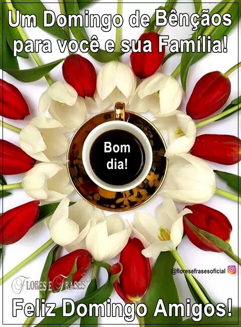 <a href="/SimoneA05421311/">Simone Aparecida</a> @daianes_santos <a href="/httpRsemei380we/">Rosa</a> <a href="/RegianeLdeLima/">❤♥ Regiane L de Lima ♥❤</a> <a href="/EdnalaSan/">Ednala Rocha San🇧🇷</a> <a href="/salete_mendonca/">saletelevy29🇧🇷❤</a> <a href="/Manuela75528424/">Manu</a> Feliz domingo!!❤😘😘😘😘😘🌹🌹🌹🌹