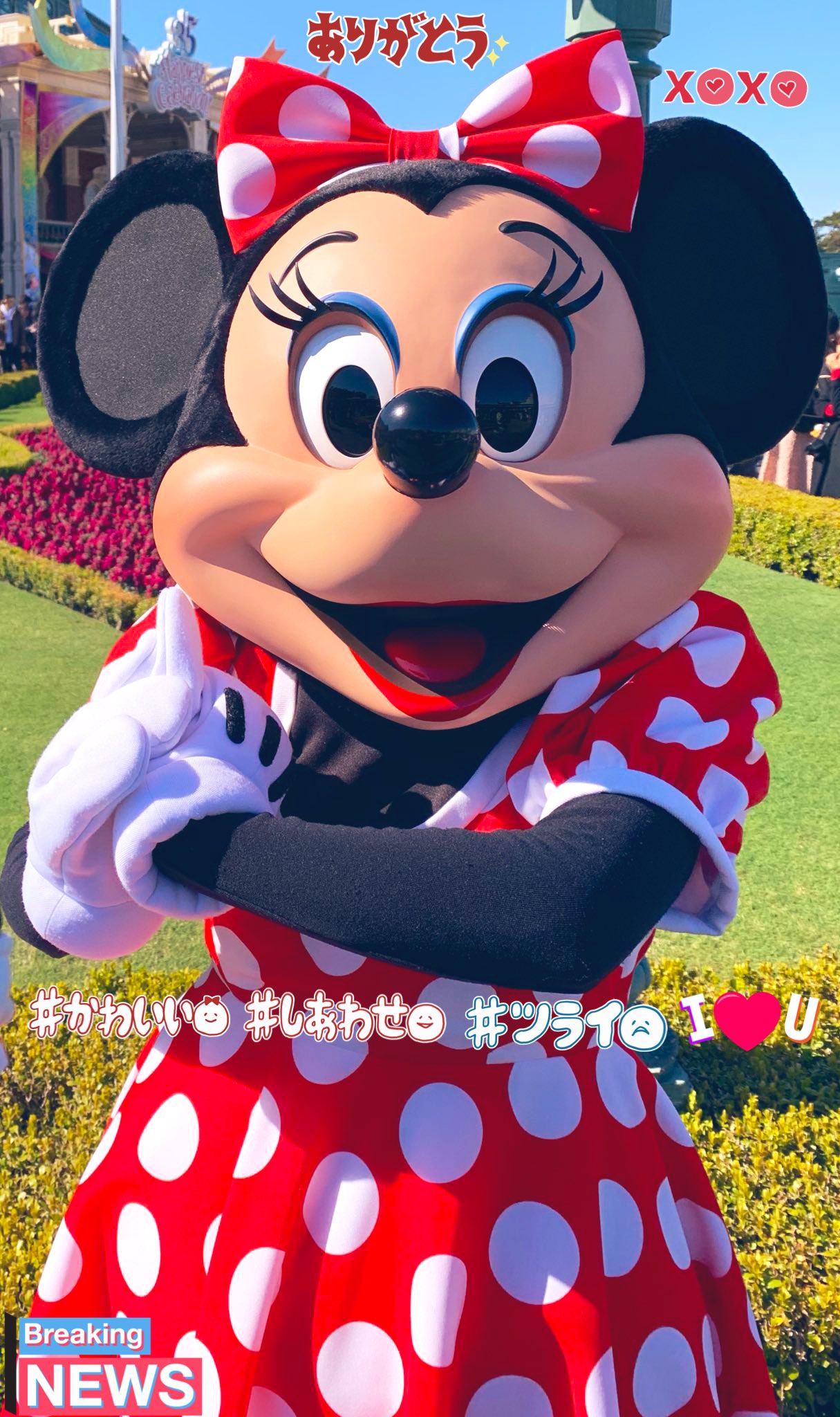 ◇祝！ファンタジースプリングス◇TDL東京ディズニーランド5周年
