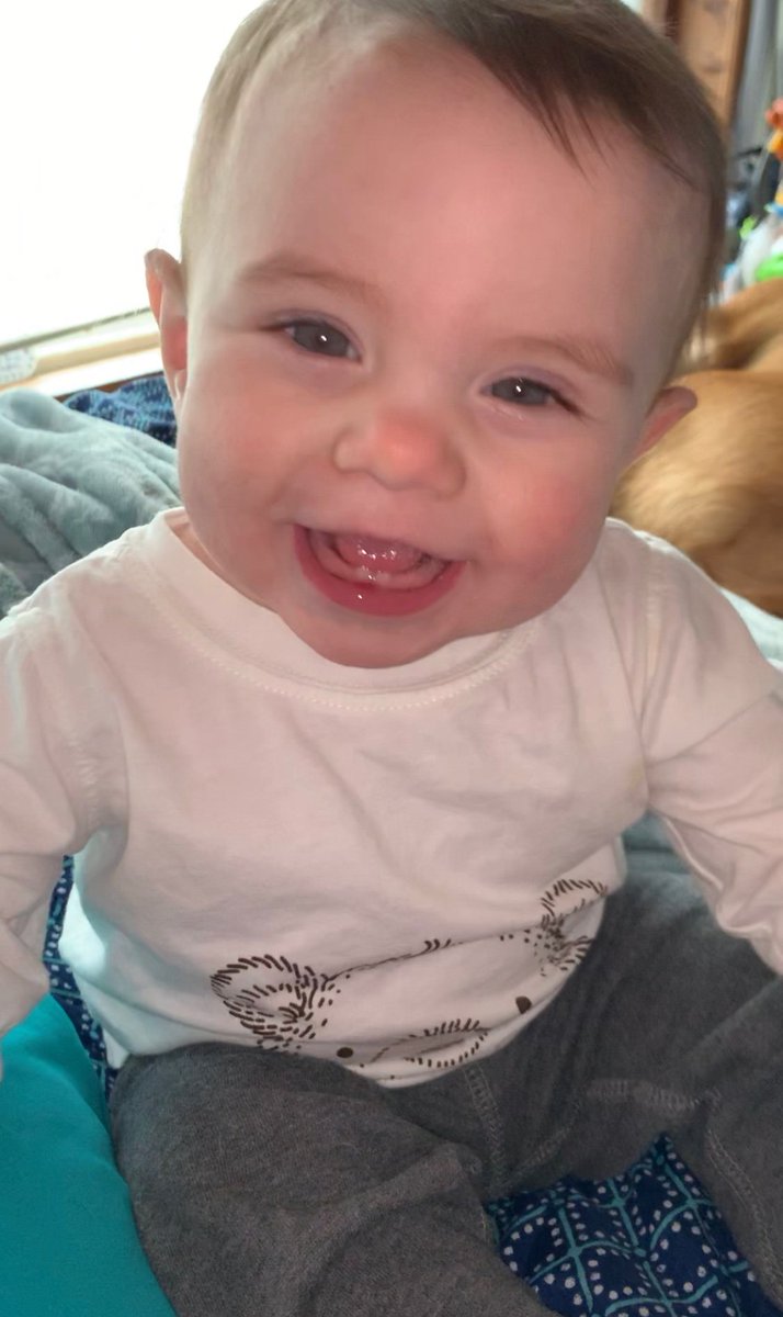 _Day1Bitches's tweet photo. @TACOhaterr Our baby boy is so cute 😍🤩❤️ https://t.co/SFKJWMnl64