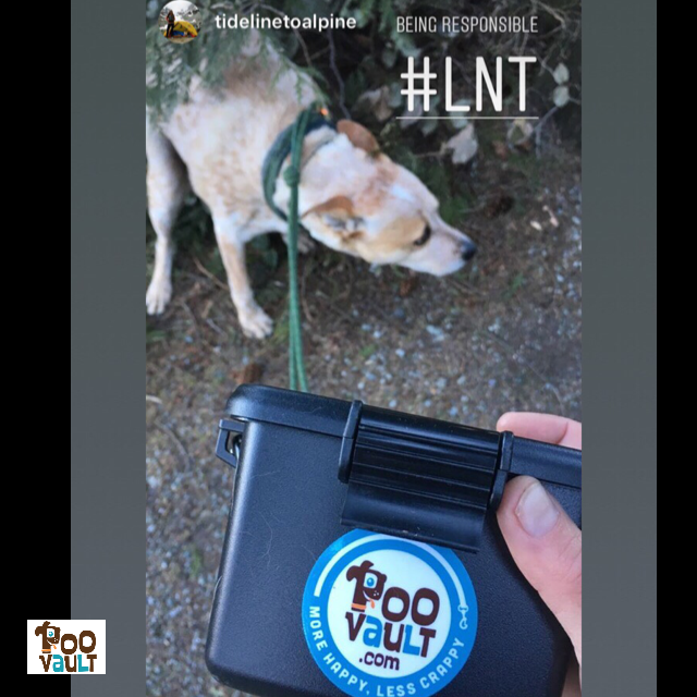 sunscreendreams's tweet photo. RT @PooVault: An action shot! Here is @tidelinetoalpine giving a demonstration that leads to using the #PooVault. Once the smelly bag is closed into the PooVault, the outing continues without #odor. Yay. 
#
#
#vanlife #outdoorlife #thegreatoutdogs #heele… https://t.co/NOHWTEXyYF