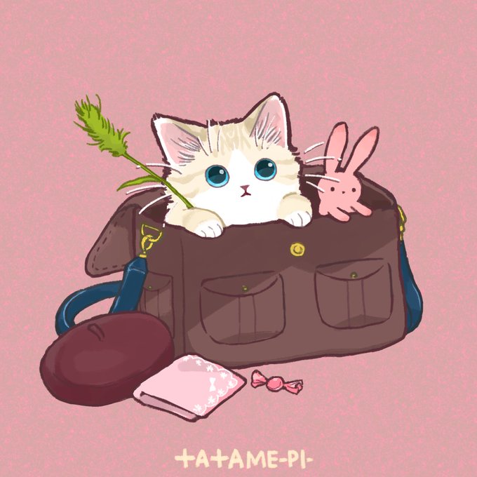 「青い眼 白い猫」のTwitter画像/イラスト(古い順)