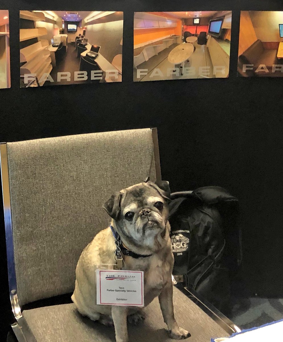 WorkforceInvest's tweet image. Humans aren’t the only ones enjoying @ForumByNAWB! These pups are passionate about workforce! #FORUM19 #NationalPuppyDay #Nationalpuppyday2019 #puppies #dogsoftwitter