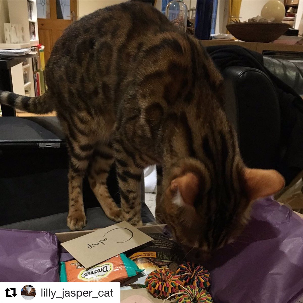 purrboxes's tweet photo. Purrfect photo π» Thanks so much for sharing! π
#catsoftwitter #catboxsunday #subscriptionbox
.
#Repost lilly_jasper_cat
γ»
Lilly & Jasper are ready for the weekend - their #purrboxes arrived today. Hope you all have pawsome weekend plans too. #treatyoself #spoiltcat #bengalcat https://t.co/FpcUwVdnEx