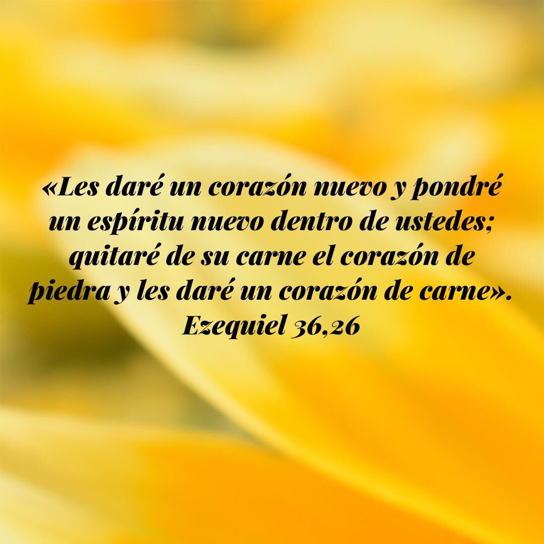 Día 19

Padre: 
Sana las heridas de mi corazón. No permitas que me haga víctima de nadie ni de nada. 
Que ningún odio, resentimiento o rencor endurezca mi corazón. 

Por el contrario hazme 100% responsable, que mi corazón sea de carne, hazme amable. 
#40CitasParaCuaresma