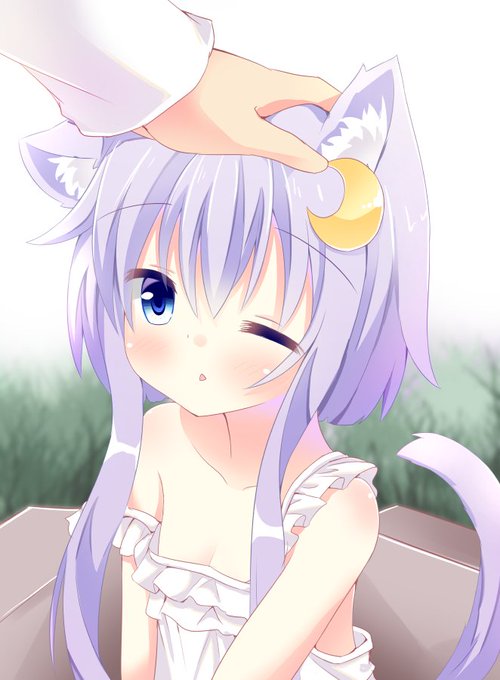 3/24
弥生ちゃんドロップ
#弥生強化月間 