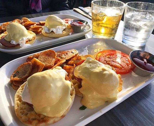 romersburger's tweet photo. GET UP! Don't miss out on our $6 Benny at every Romer's location until 11AM. #YummyBrunch #YVRbrunch #VanBrunch #EggsBenny #YVRfoodies #YVRfoodie #604Brunch #Kitsilano #Portmoody #Riverdistrict https://t.co/iJn3d6xU6e