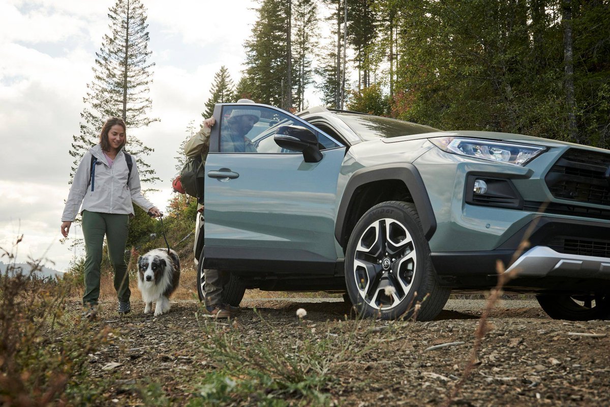 Best place to hike with your four-legged friend - go!

📸: 2019 RAV4 Multi-Terrain Select