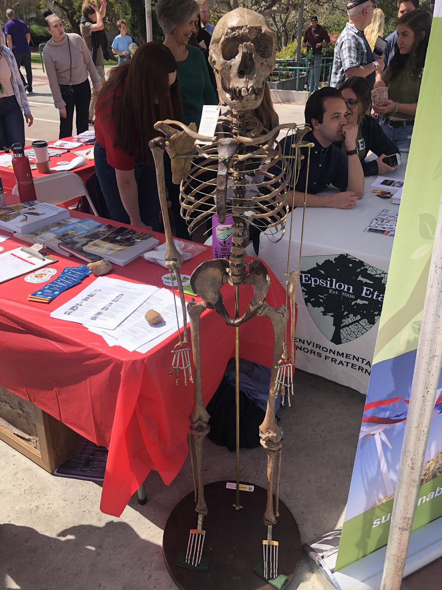 SDSU Anthro Club tweet media