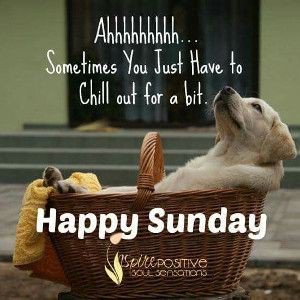 Enjoy your Sunday 😊