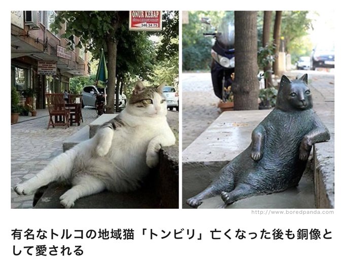 猫のトンビリ像のtwitterイラスト検索結果 猫のトンビリ像のtwitterイラスト検索結果