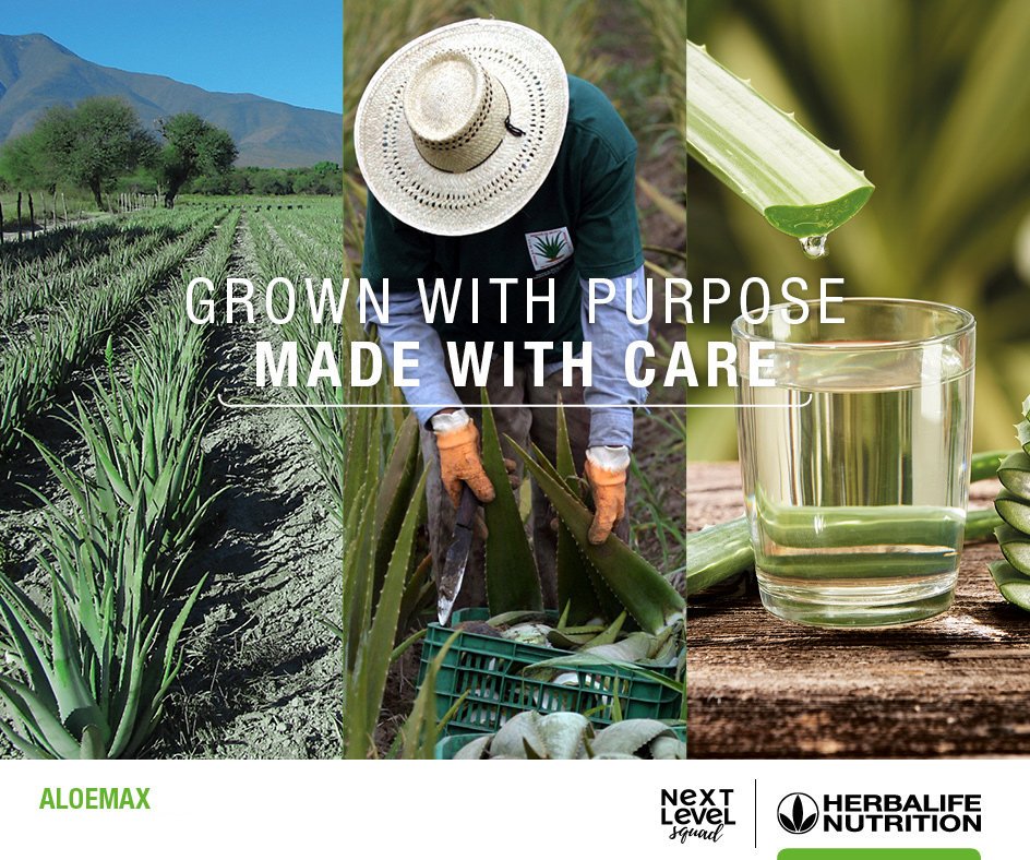 BaldwinDimeku's tweet photo. *Available from Monday 25 March 2019. Be one of the first people to try this and take every glass of water to the #NextLevel 😉
DM / WhatsApp: +267 77668702
#AloeMax #StayHydrated #Vegan #AloeVera #purposedrivennutrition #gut #hydration #aloejuice #aloe #veganism #vegansuitable https://t.co/5wfwQkqJMf