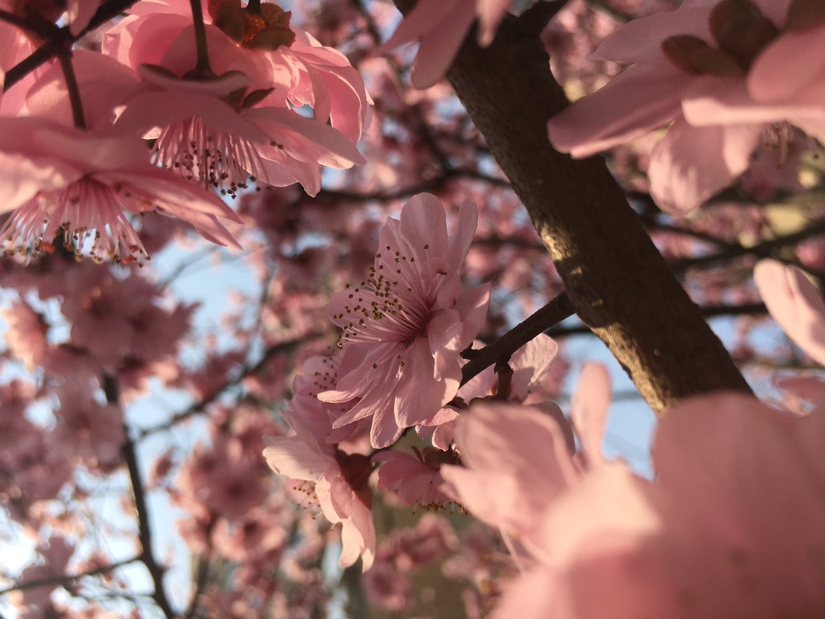 Jack (@jack36174002) on Twitter photo 