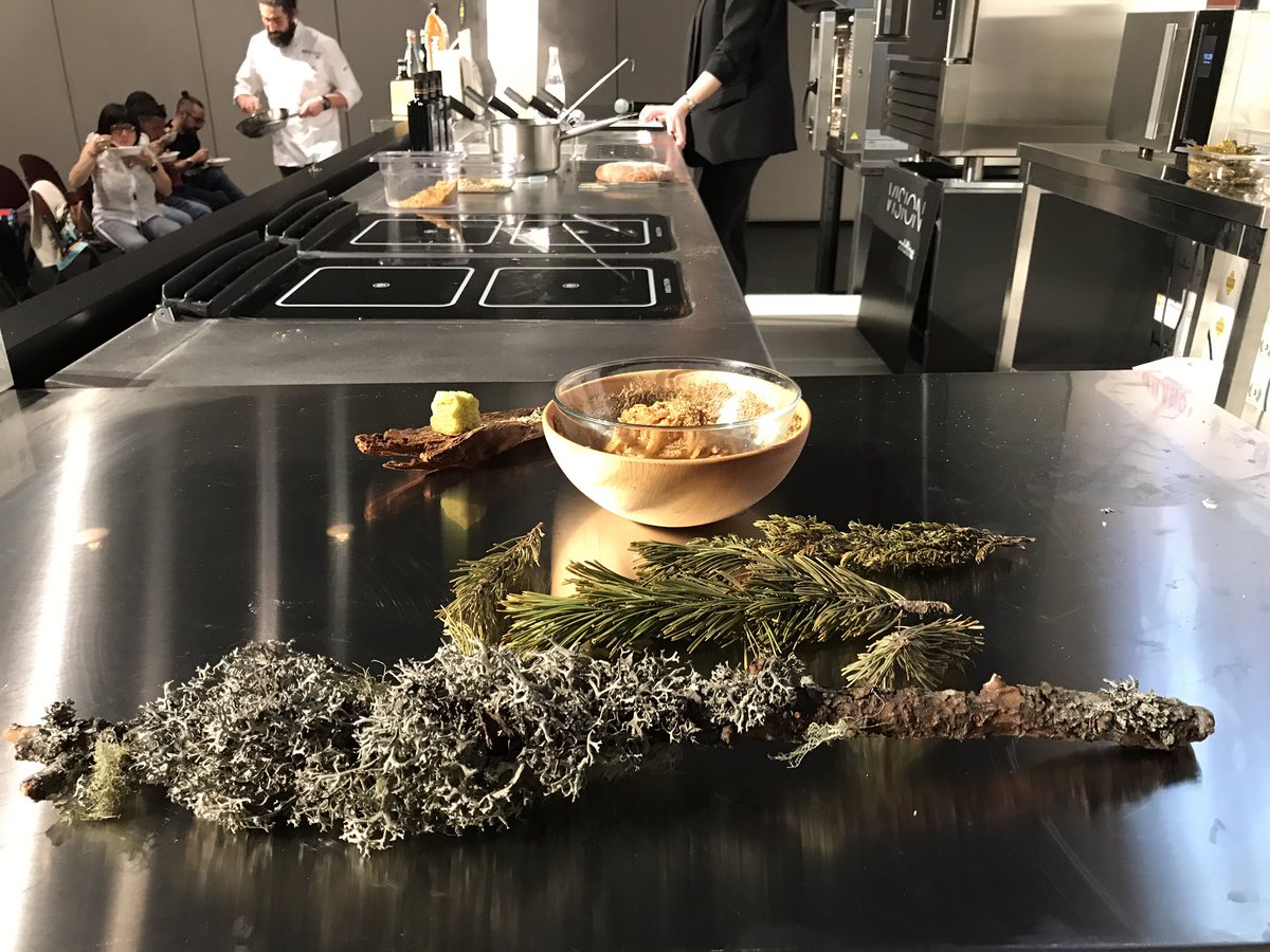 identitagolose's tweet photo. Dove comincia il bosco.
@rikigaspari a Identità di Pasta prepara ‘Un nido nel bosco’, spaghetti al pino mugo
#IGmi19 @Pasta_Felicetti https://t.co/2BOZlTHkUl