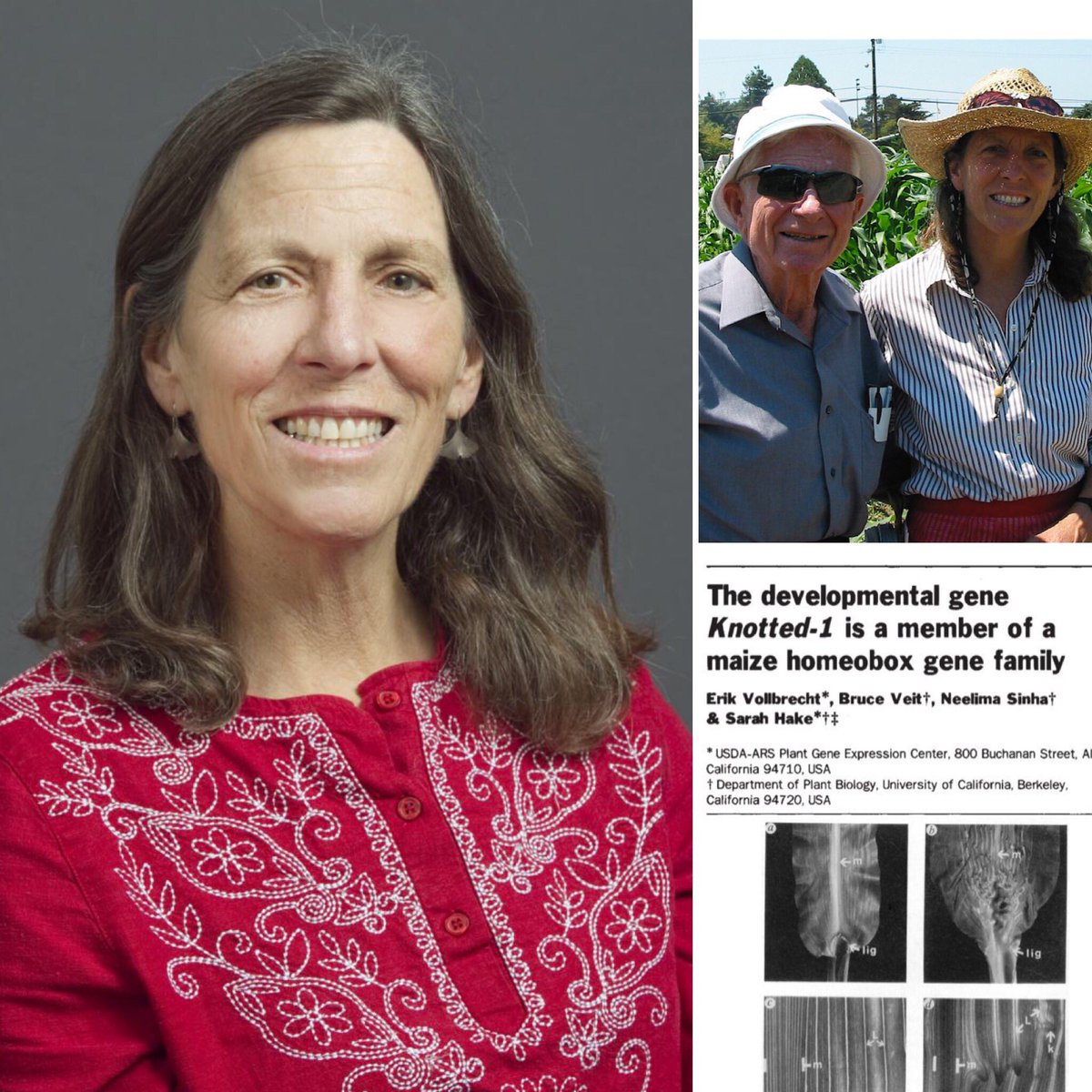 Dr. Sarah Hake studies the #genes that affect the development of #corn. Her advice to early career scientists: "trust yourself, be passionate about your work." #WomenInStem #WomensHistoryMonth