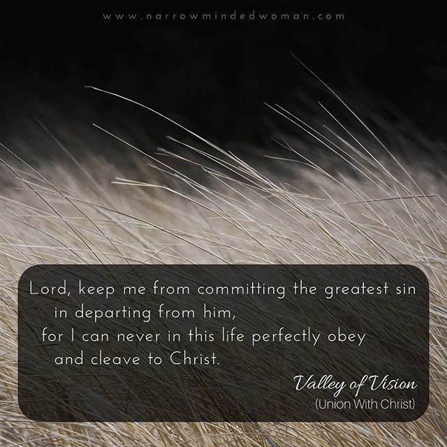 NarrowMindWoman's tweet photo. Lord, keep me from committing the greatest sin in departing from him, for I can never in this life perfectly obey and cleave to Christ. ~ Valley of Vision (Union With Christ)
•
•
•
#prayer #sin #unbelief #disunitywithchrist #unitywithchrist #unity #disunity #perfection #p… https://t.co/0HBdYJqNcr