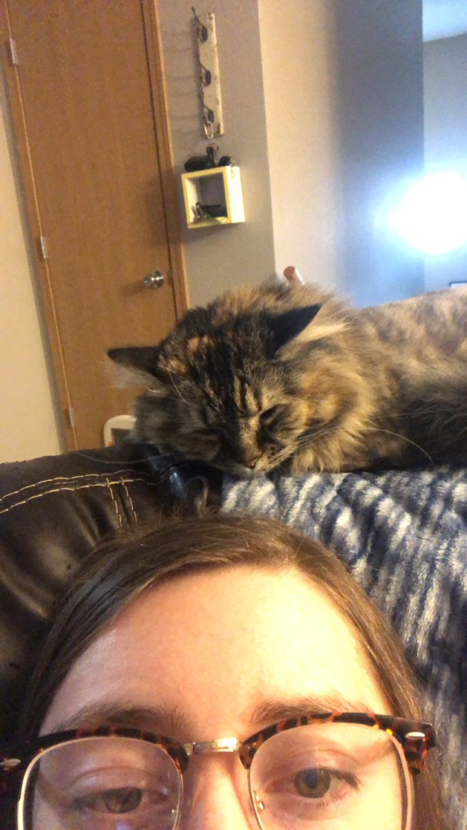 TheBradyBunch11's tweet photo. Spent spring break with my cuddly kitties @UNKBiol106 @UNKearney #106SpringBreak19 https://t.co/NrCWcZNdA3