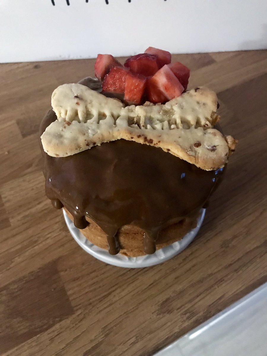 aboutthedoguk's tweet photo. When you spend the day making Birthdsy cakes for special dogs. #birthday #dogs #Liverpool #order https://t.co/K9YIfwRzsA