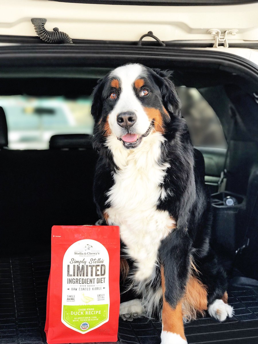 A little Sunday takeout for dinner! Excited to try the new <a href="/stellaandchewys/">Stella & Chewy's</a> limited ingredient duck recipe! It’s good for dogs with allergies or food sensitivities like Moose! #ad #stellasquad #healthy