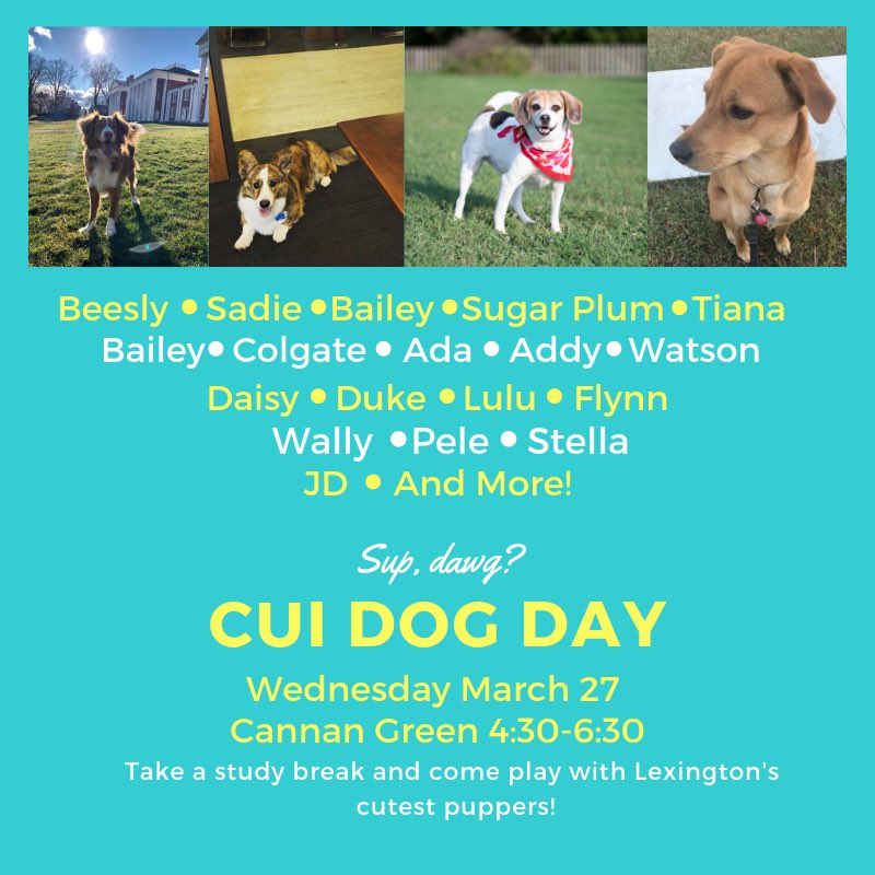 This Wednesday will be a dog day afternoon, regardless of the weather! ⁦<a href="/wluLex/">wluLex</a>⁩