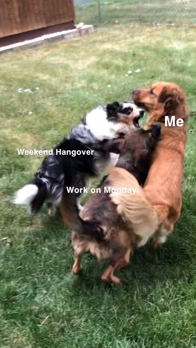Michael23Burton's tweet photo. Mood. https://t.co/BMMfZRpzPp