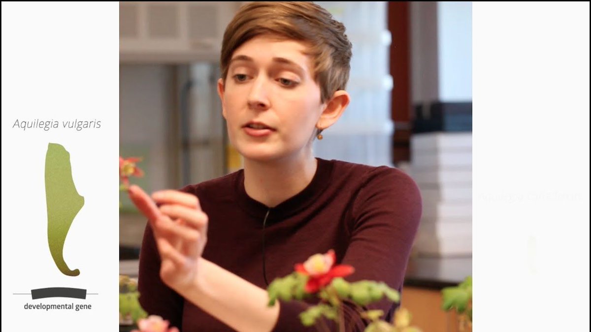 plantae_org's tweet photo. What is #Science In Real Life? Check out these awesome videos by @science_irl: https://t.co/HsxngaFrQH and see experiments from textbooks come to life! i https://t.co/PLkaJUW6bz #plantsc https://t.co/4Fz6Nm1Psr