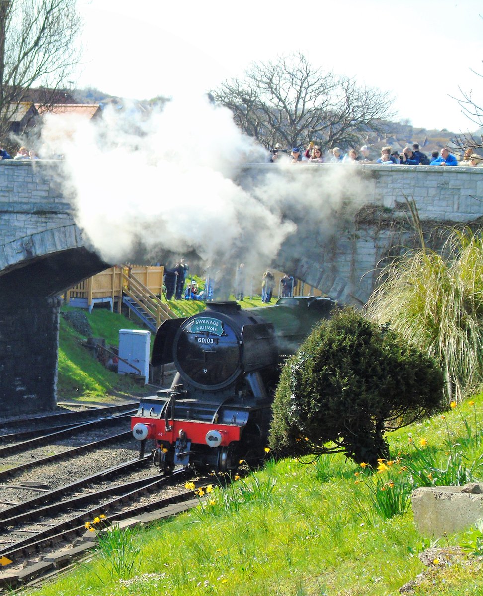 kelly907907's tweet photo. The iconic #flyingscotsman @SwanRailway #bringingbackchildhoodmemeries #childhoodmemories #steamtrain #pullmancoach #pullmanobservationcar #devonbelle #60103 https://t.co/rHPXd4kEVr