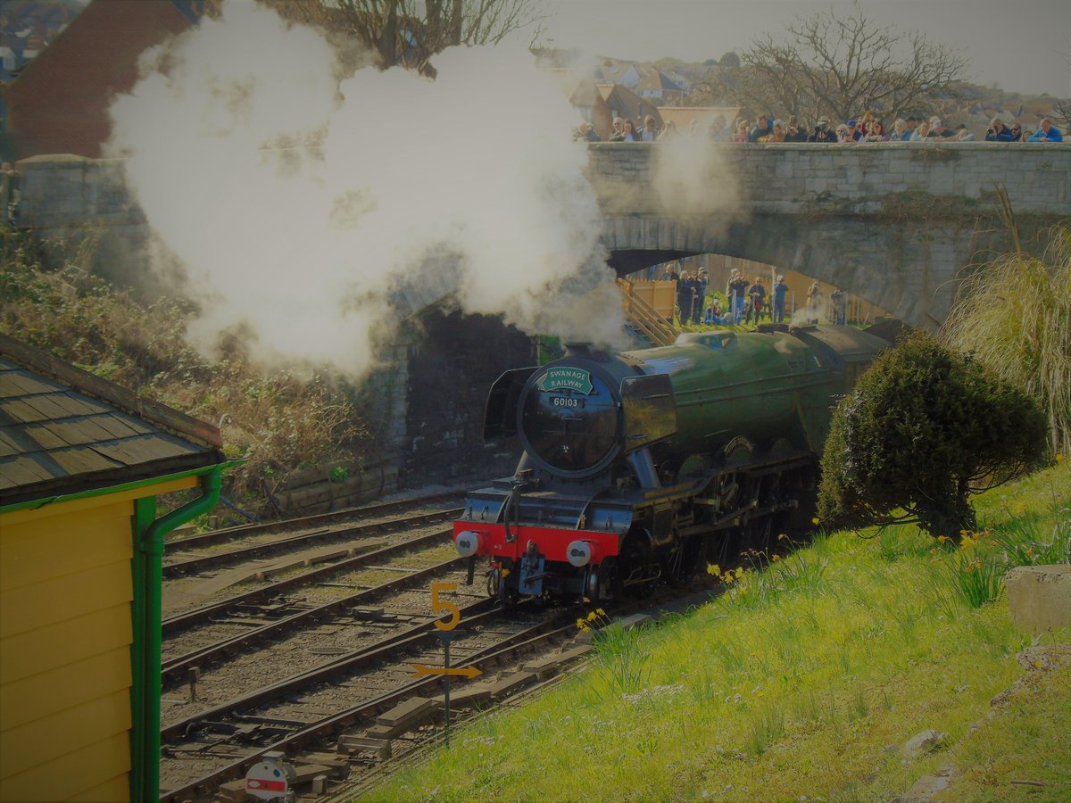 kelly907907's tweet photo. The iconic #flyingscotsman @SwanRailway #bringingbackchildhoodmemeries #childhoodmemories #steamtrain #pullmancoach #pullmanobservationcar #devonbelle #60103 https://t.co/rHPXd4kEVr
