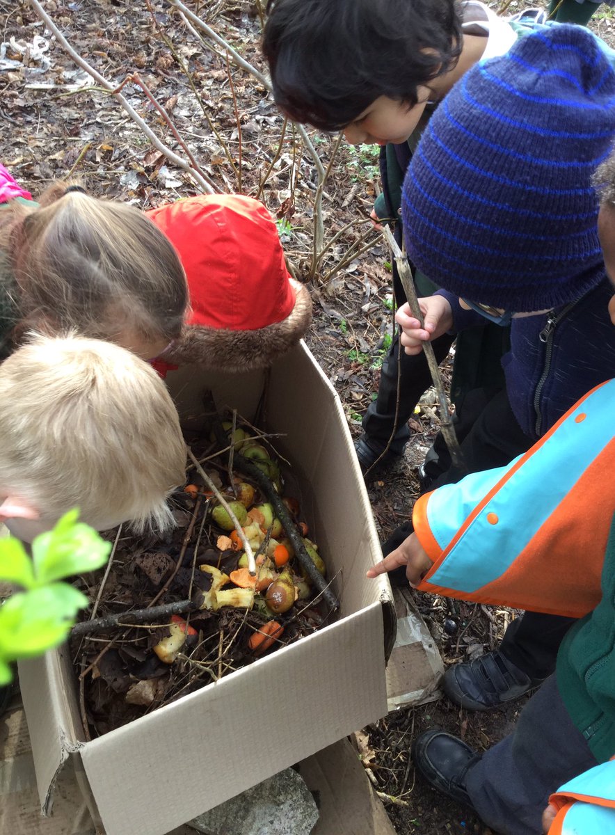 StandensBarnPS's tweet image. Reception creeping quietly down to our wooded area &quot;so we don&apos;t frighten the birds, foxes and worms&quot;, checking on our compostarium, log pile and...&quot;wait a minute! Something has eaten ALL of our pine cone feeders!&quot; @RSPB_Learning #RSPBWildChallenge