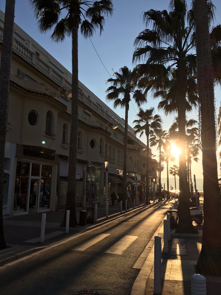 ShadesByHito's tweet photo. Un soleil époustouflant ... Juan Les Pins rayonne sous la lumière de fin de journée 🌅 La boutique Shades By Hito vous souhaite une excellente fin de week-end !! 
.
#ShadesByHito #JuanLesPins #CotedAzurFrance #AntibesJuanLesPins #Sunglasses #Sunset #Eyewear #FrenchRiviera https://t.co/L0BdFz9wXY