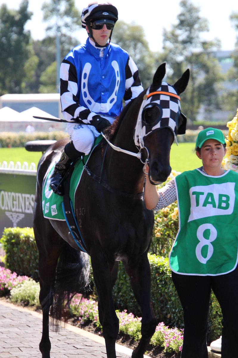 octagonal1's tweet photo. おはようアヴドゥラさん
リース厩舎の馬のみ馬券に絡んだw
2019.3.23
#StarReflection
#BrentonAvdulla
#GoldenSlipperDay 
#RosehillGardens 
#TABBirthdayCardStakes https://t.co/aJH3QxBNqb
