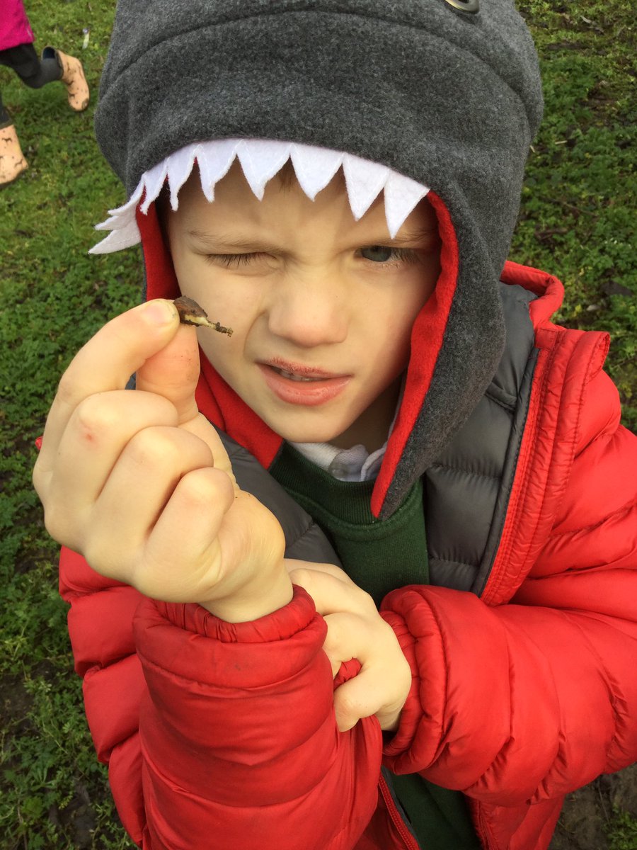 StandensBarnPS's tweet image. And discovering other interesting things too @RSPB_Learning #RSPBWildChallenge