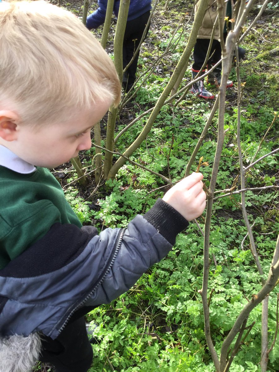 StandensBarnPS's tweet image. And discovering other interesting things too @RSPB_Learning #RSPBWildChallenge