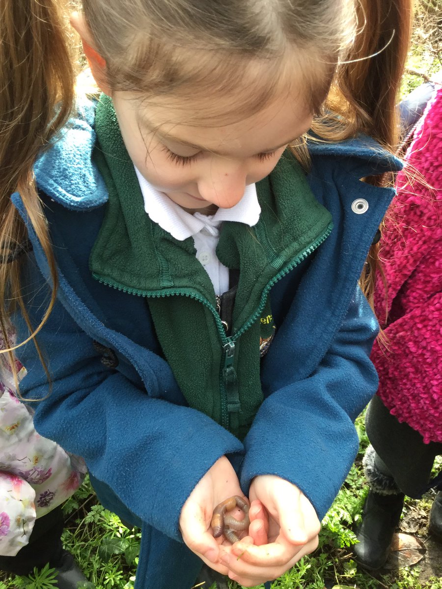 StandensBarnPS's tweet image. And discovering other interesting things too @RSPB_Learning #RSPBWildChallenge