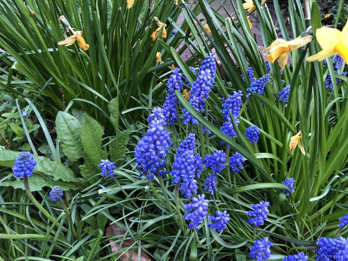 MrsSKCooper's tweet photo. Sundays in Springtime. It’s been a long few weeks and I’m finally enjoying some family time in the sunshine. #SpringSundays https://t.co/441KmN07Zz