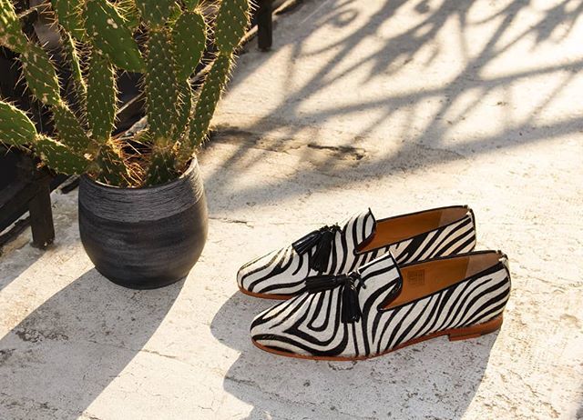 MelvinHamilton's tweet photo. Let's walk on the wild side! 🌵
.
.
.
#mymnh #springsummer19 #animalprint #zebraprint #shoesaddict #loafers #mymelvins https://t.co/K3BUQnlN41 https://t.co/NIC38QtSdF