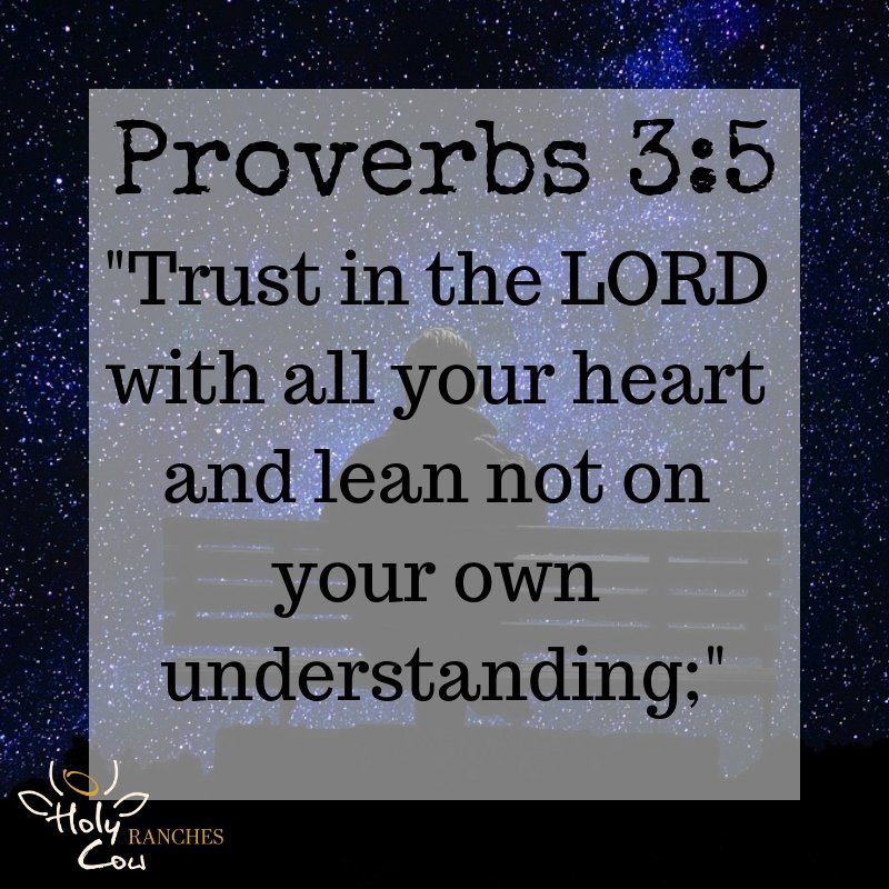 HolyCowRanches's tweet photo. Holy Cow Ranches Sunday Scripture!

Proverbs 3:5

"Trust in the LORD with all your heart and lean not on your own understanding;"

#HolyCowRanches https://t.co/seXNtgJxOh