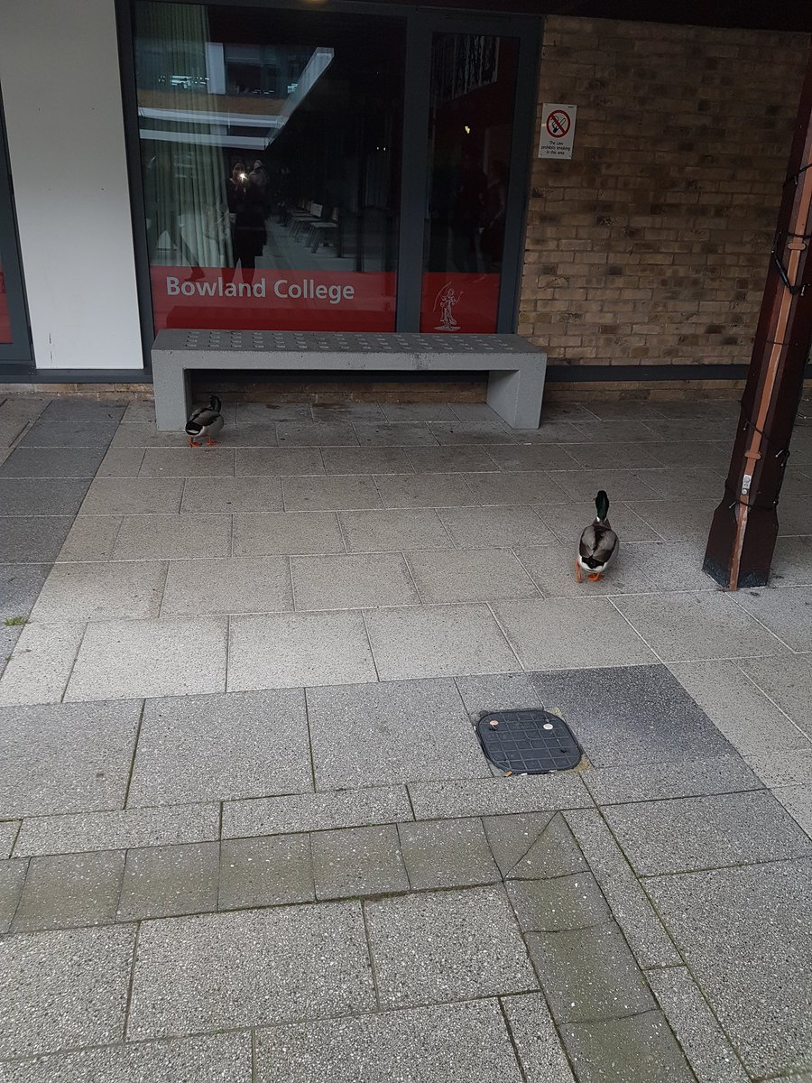 USOBNaaz's tweet photo. Just left Lancaster&amp;the ducks. St Helens R on their way home.Thk U 2 Lancaster Uni,the steering grp,Preston YC &amp; youthfocus 4 another awesome YoFo! @YouthforiaNW @YouthFocusNW #ActionAgainstKnifeCrime #knifefree #nomoreknives #POSHeventnw @ScottishPower  @sthelenscouncil https://t.co/dCx4uT0dZk