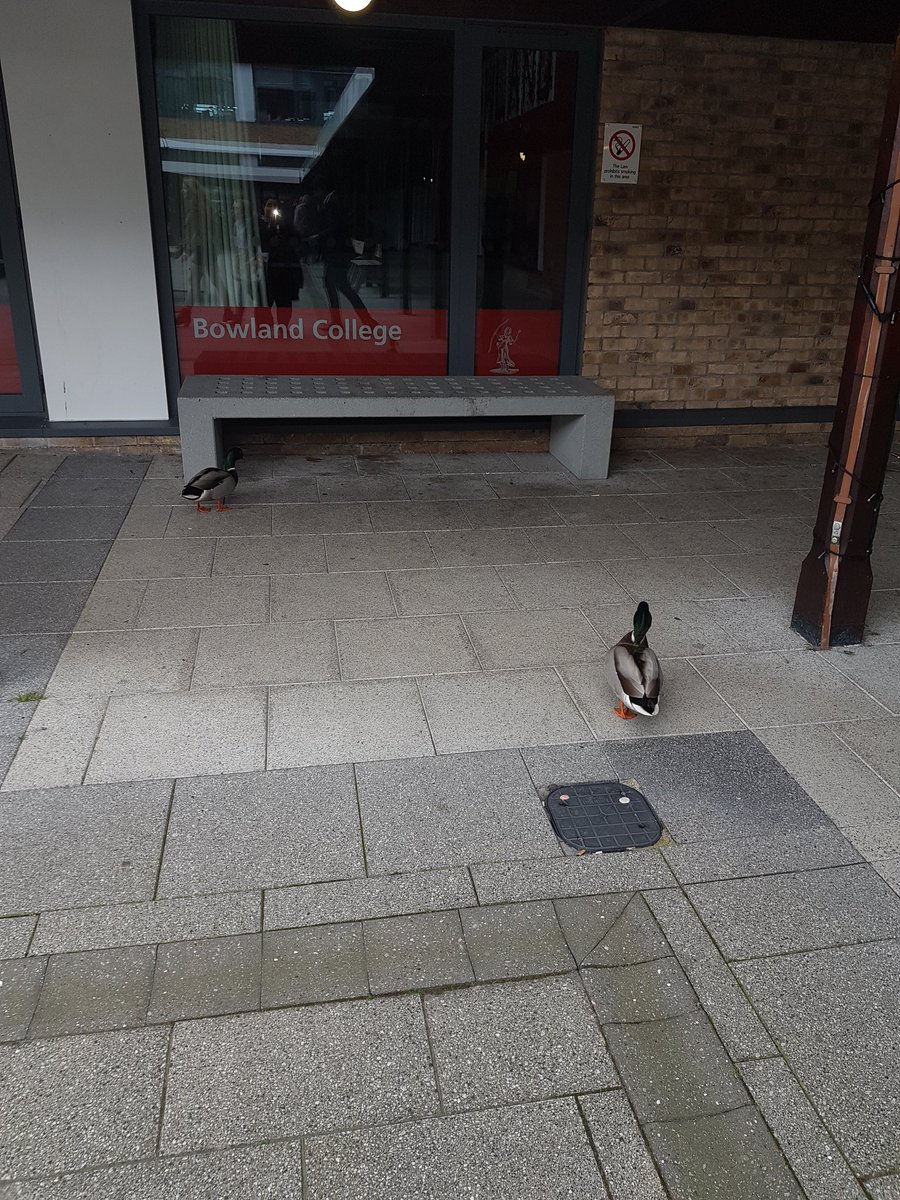 USOBNaaz's tweet photo. Just left Lancaster&amp;the ducks. St Helens R on their way home.Thk U 2 Lancaster Uni,the steering grp,Preston YC &amp; youthfocus 4 another awesome YoFo! @YouthforiaNW @YouthFocusNW #ActionAgainstKnifeCrime #knifefree #nomoreknives #POSHeventnw @ScottishPower  @sthelenscouncil https://t.co/dCx4uT0dZk