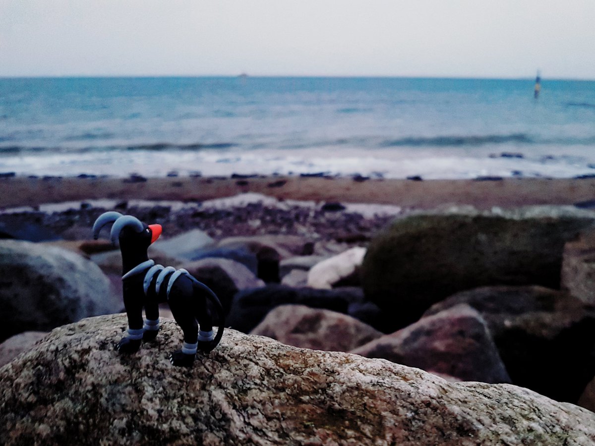 StrohhutVA's tweet photo. Pokémon, die aufs Meer starren 📸 #PokémonSnap #Hundemon https://t.co/65hcWstV26