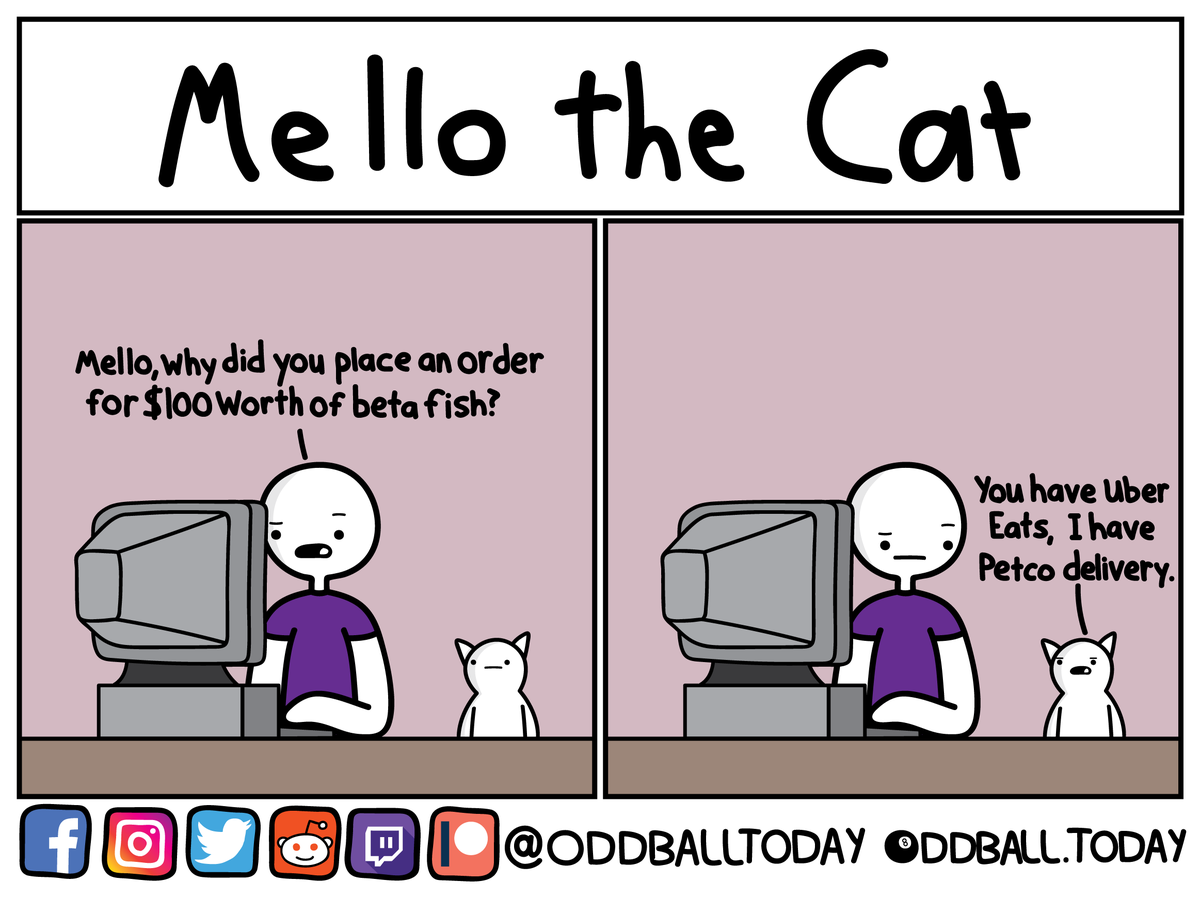 oddballtoday's tweet photo. Comic #341 - Mello: Fish Order
https://t.co/2fGOQUrRHC
.
.
.
.
.
.
.
#comic #comics #webcomic #webcomics #cartoon #mellothecat #mello #fish #betafish #fatfish #catfish #pet #pets #petfish #fishpet #order #fishorder https://t.co/zXioEIXREu