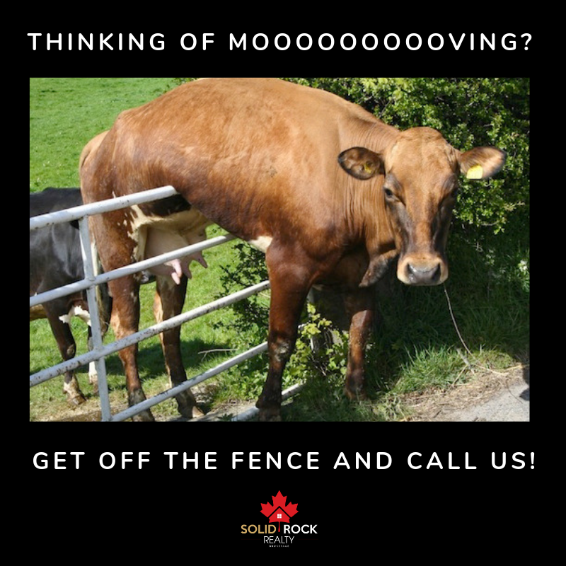Solid_R_Realty's tweet photo. Spring market is here! Don't miss out on all the wonderful properties out there, call #SolidRockRealty. Let us help you get over that fence and find your dream home! π π‘ π
#SmileSunday #SRwelcomehome #NotYourAverageRealtor #RealtorMemes #Meme #Funny https://t.co/BI8KdPANb1