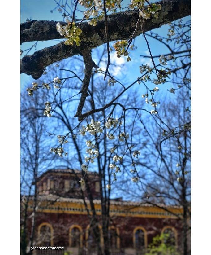 descobreixolot's tweet photo. ... hi ha moltes maneres de descobrir #Olot i a nosaltres ens encanta redescobrir la nostra ciutat a través de les vostres fotos!
#DescobreixOlot https://t.co/qtraaKIOLJ