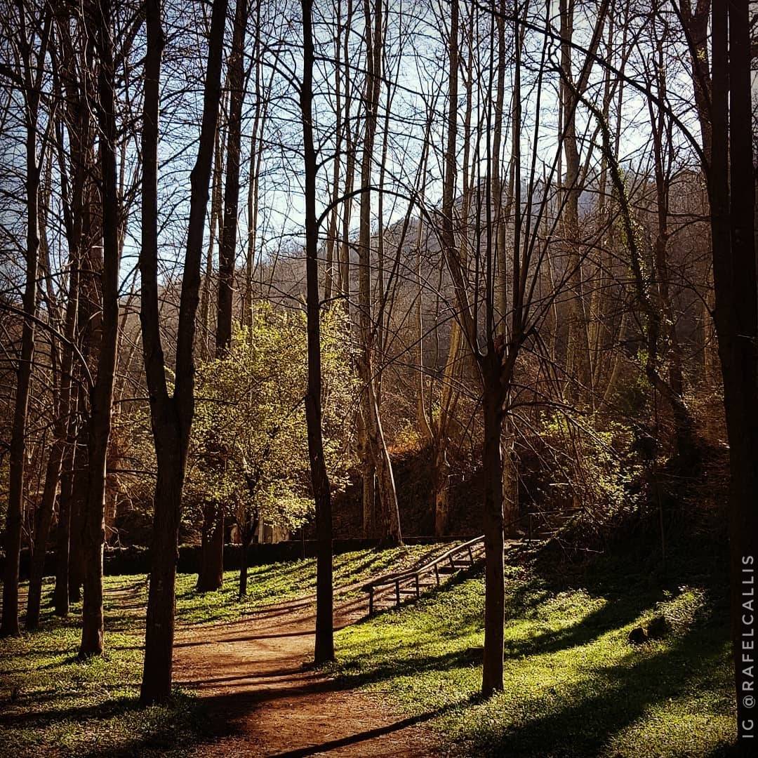descobreixolot's tweet photo. ... hi ha moltes maneres de descobrir #Olot i a nosaltres ens encanta redescobrir la nostra ciutat a través de les vostres fotos!
#DescobreixOlot https://t.co/qtraaKIOLJ