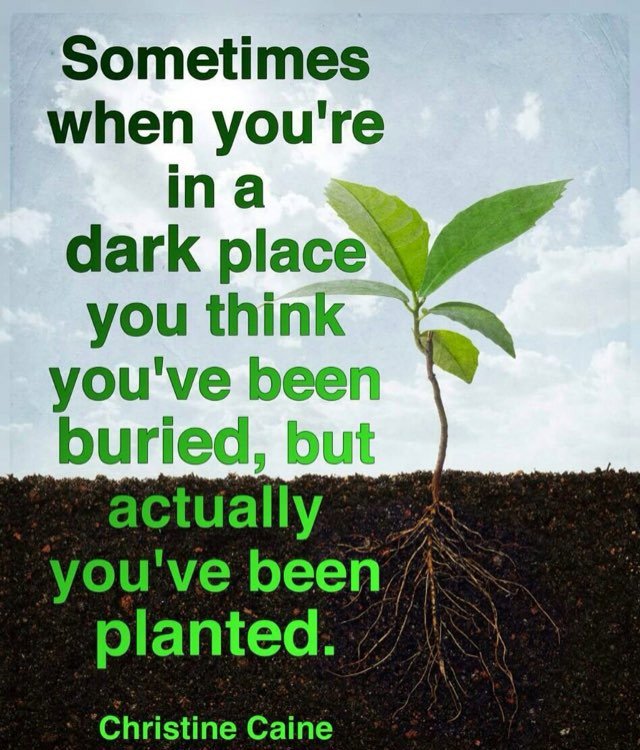 #inspiringquotes
#SaturdayMotivation
#quotestoliveby
#TrustTheProcess
#LifeLessons
#GoldenHearts
#JoyTrain
#ThinkBIGSundayWithMarsha