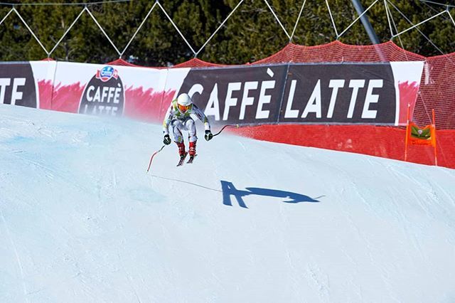 Robert Solsona tweet media