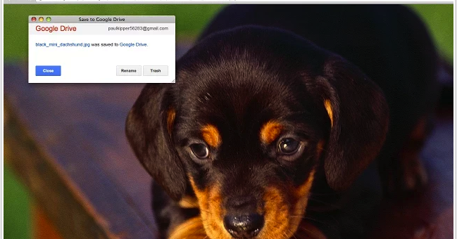 OT_FEDgrad's tweet photo. 10 Good #GoogleDrive Apps for #Teachers -- https://t.co/KXShkqYTFY https://t.co/E63Gzjp5yg