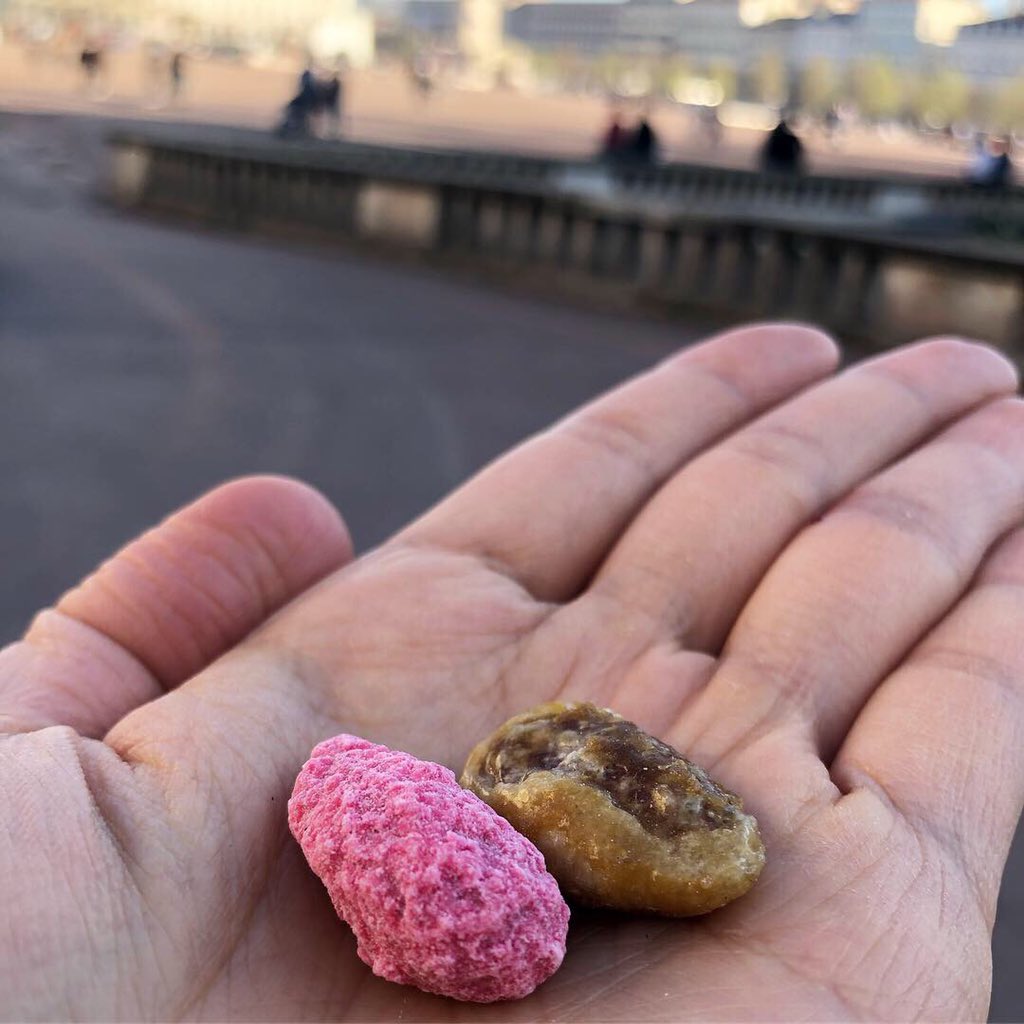 TDigested's tweet photo. Le printemps lyonnais ou la praline lyonnaise? 

#pralinerose #praline #palomas #pralus #almondcandy #localspeciality #lyon #gastronomy #gastronomie #foodculture #foodhunter #foodblogger #theworlddigested 
#プラリネ #プラリーヌ #アマンド #リヨン #フランス菓子 #伝統料理 #郷土菓子 https://t.co/6GuuJo6Y0M